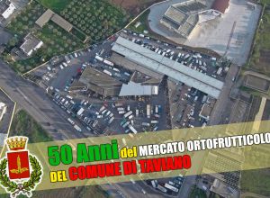 Vista panoramica del Mercato ortofrutticolo in attività