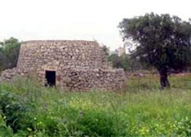 Trullo nella campagna tavianese