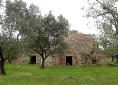 Due trulli immersi nel verde