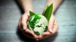 Servizio IGIENE e AMBIENTE 