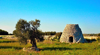 Aiuti all'Avviamento di Imprese per i Giovani Agricoltori