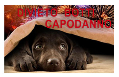 ORDINANZA: DIVIETO BOTTI E PETARDI. DIVIETO CONSUMO ALCOLICI FUORI DAGLI SPA...