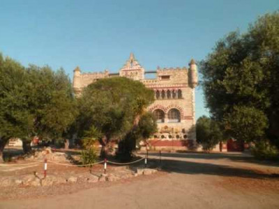 Il villaggio tra gli Ulivi.