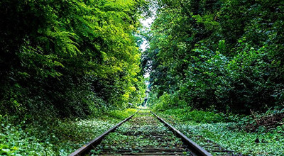 Ordinanza Sindacale - Rami e Alberi Sporgenti su Linea Ferroviaria 