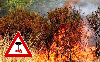 Avviso Pubblico: Stato di Grave Pericolosità Incendi