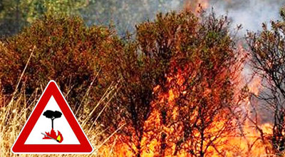 Avviso Pubblico: Stato di Grave Pericolosità Incendi