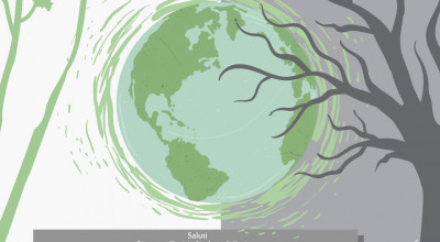 Convegno - Forestazione Aree Verdi Cambiamenti Climatici