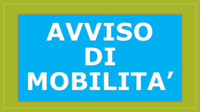 Mobilità Volontaria - Istruttore Tecnico Geometra