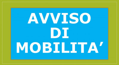 Mobilità Volontaria - Istruttore Tecnico Geometra