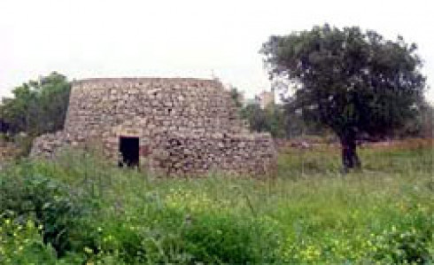 Trullo nella campagna tavianese